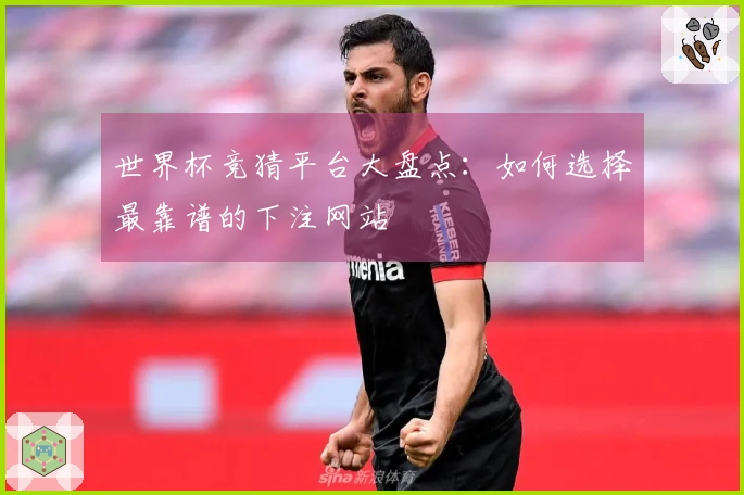 世界杯竞猜平台大盘点：如何选择最靠谱的下注网站