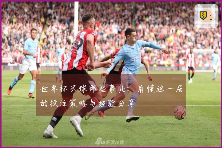 世界杯买球那些事儿：看懂这一届的投注策略与经验分享