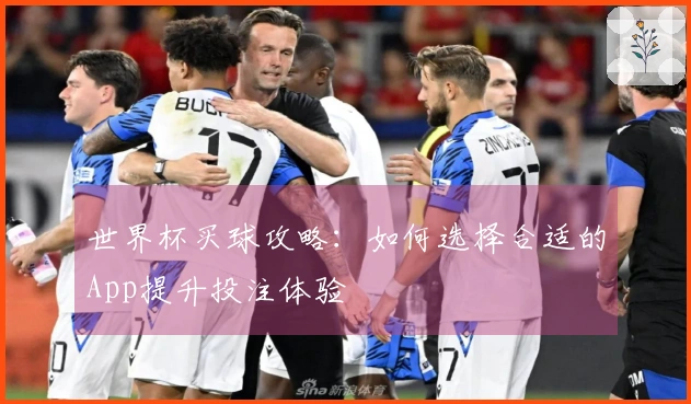 世界杯买球攻略：如何选择合适的App提升投注体验