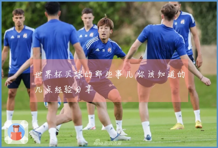 世界杯买球的那些事儿 你该知道的几点经验分享
