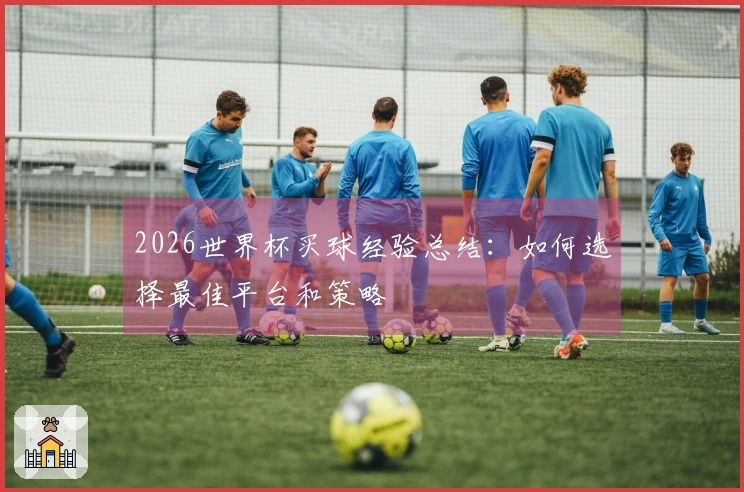 2026世界杯买球经验总结：如何选择最佳平台和策略