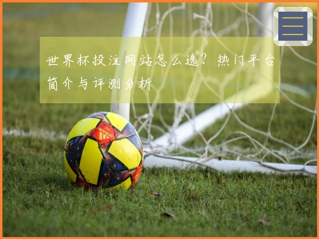 世界杯投注网站怎么选？热门平台简介与评测分析