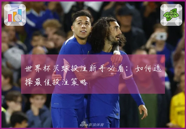 世界杯买球投注新手必看：如何选择最佳投注策略